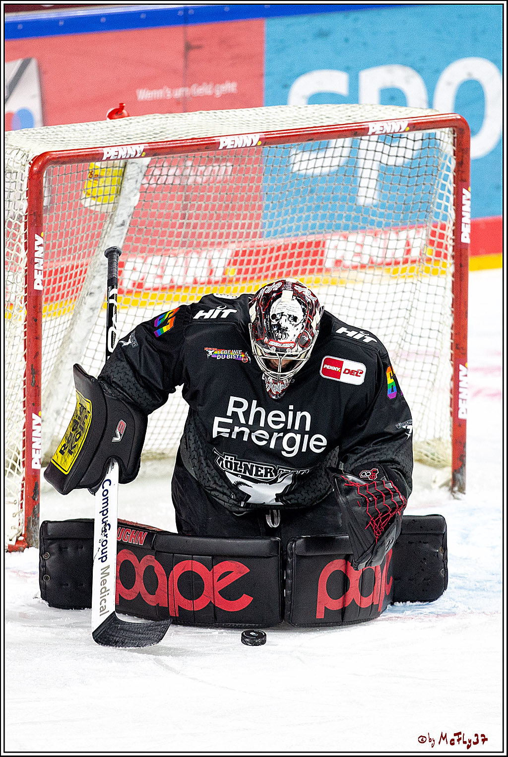 PENNY DEL;  Koelner Haie - Fischtown Pinguins Bremerhaven; Koeln, 17.01.2021